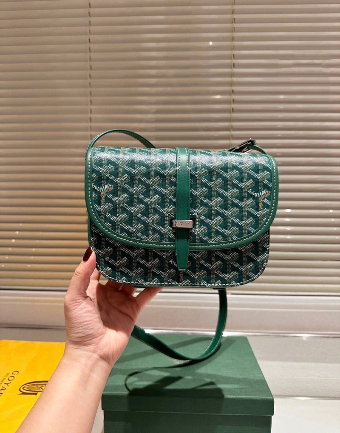 Borsa Goyard Belvédère (verde)